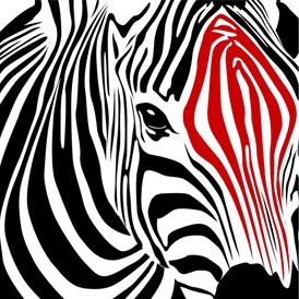 scarlet zebra
